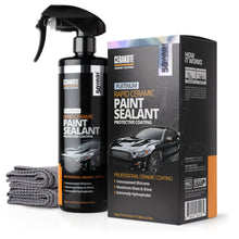 Rapid Ceramic Paint Sealant