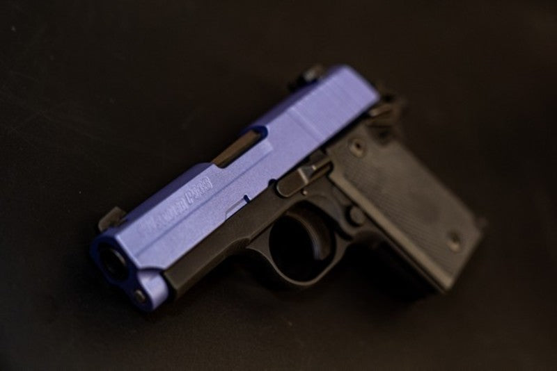 Cerakote H-314 Crushed Orchid Customer Sample